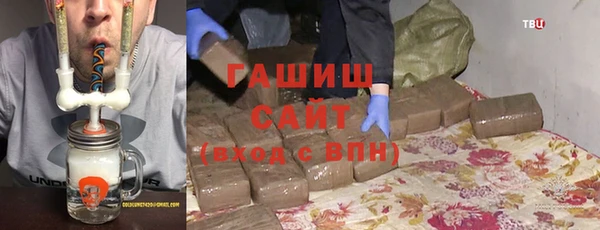 ECSTASY Алзамай