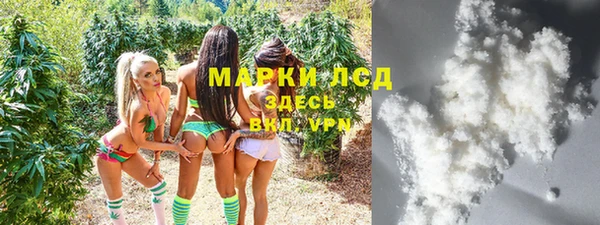 ECSTASY Алзамай