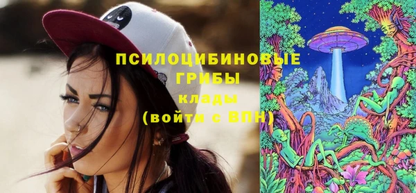 шишки Абдулино