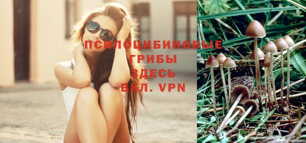 шишки Абдулино